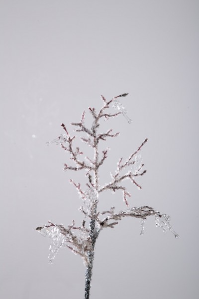 Eiskristall-Zweig, 50 cm