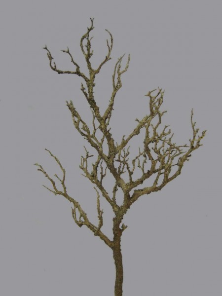 Zweig, natur, 76 cm