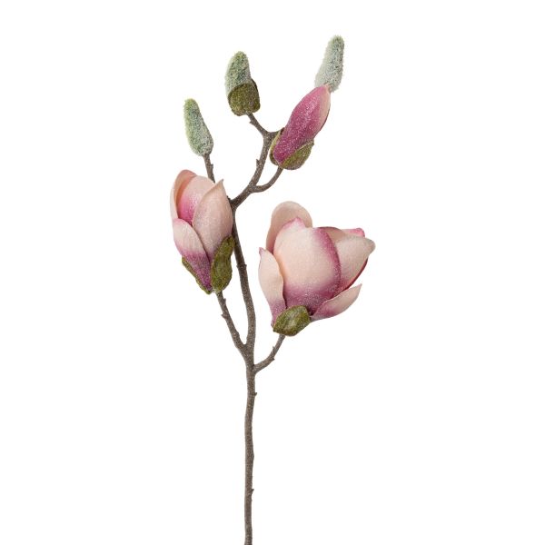 Magnolienzweig geeist, altrosa, 43 cm