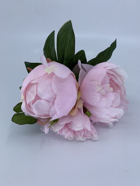 Pfingstrosen-Bund, rosa, 25 cm
